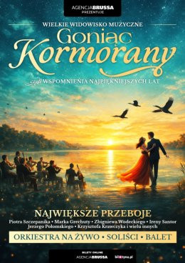 Włocławek Wydarzenie Koncert Goniąc Kormorany - wspomnienia najpiekniejszych lat